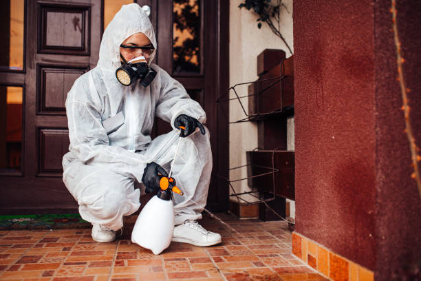 Reliable Cockroach Control contractor in Prescott, AR by Nex Pest Control
